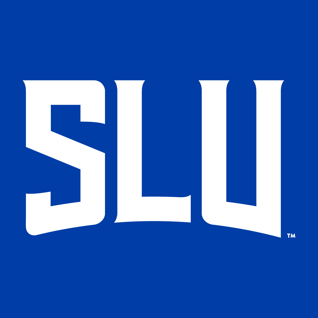 Saint Louis Billikens 2015-Pres Wordmark Logo t shirts iron on transfers